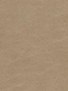 Talampaya 5738 beige oscuro