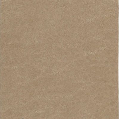 Talampaya 5738 beige oscuro