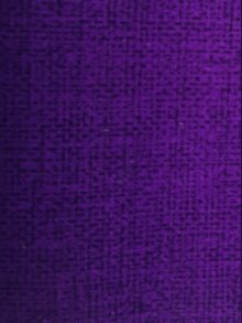 COSMOS-violeta